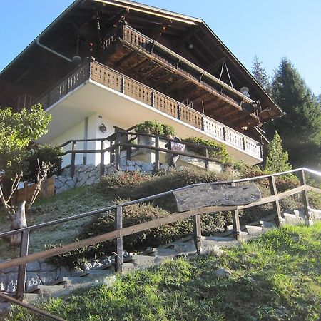 Chalet Erica Appartement Jaun Buitenkant foto