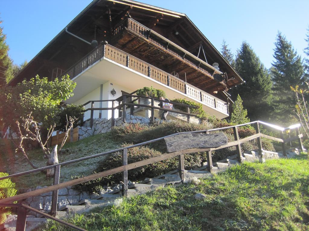Chalet Erica Appartement Jaun Buitenkant foto