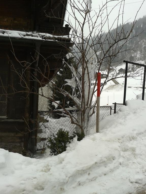Chalet Erica Appartement Jaun Buitenkant foto