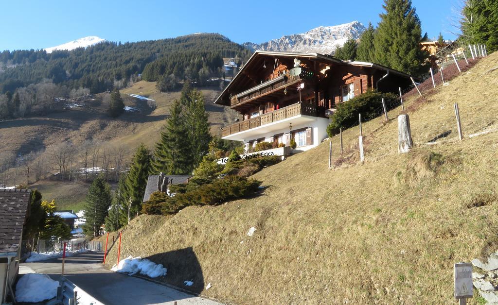 Chalet Erica Appartement Jaun Buitenkant foto